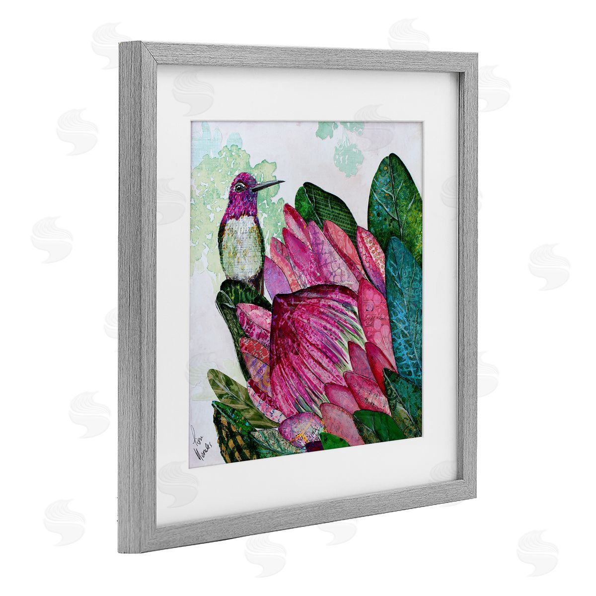 Lisa Morales Hummingbird And Protea Canvas Wall Art Print