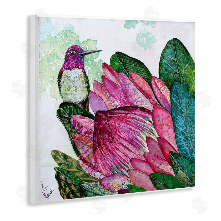Lisa Morales | Hummingbird And Protea