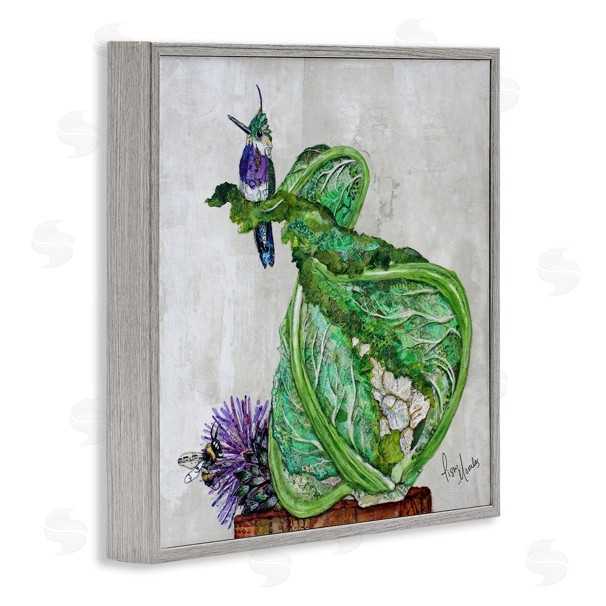 Lisa Morales Hummingbird on Cauliflower Canvas Wall Art Print