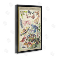DIANNART | Vintage Butterfly Conservatory