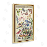 DIANNART | Vintage Butterfly Conservatory