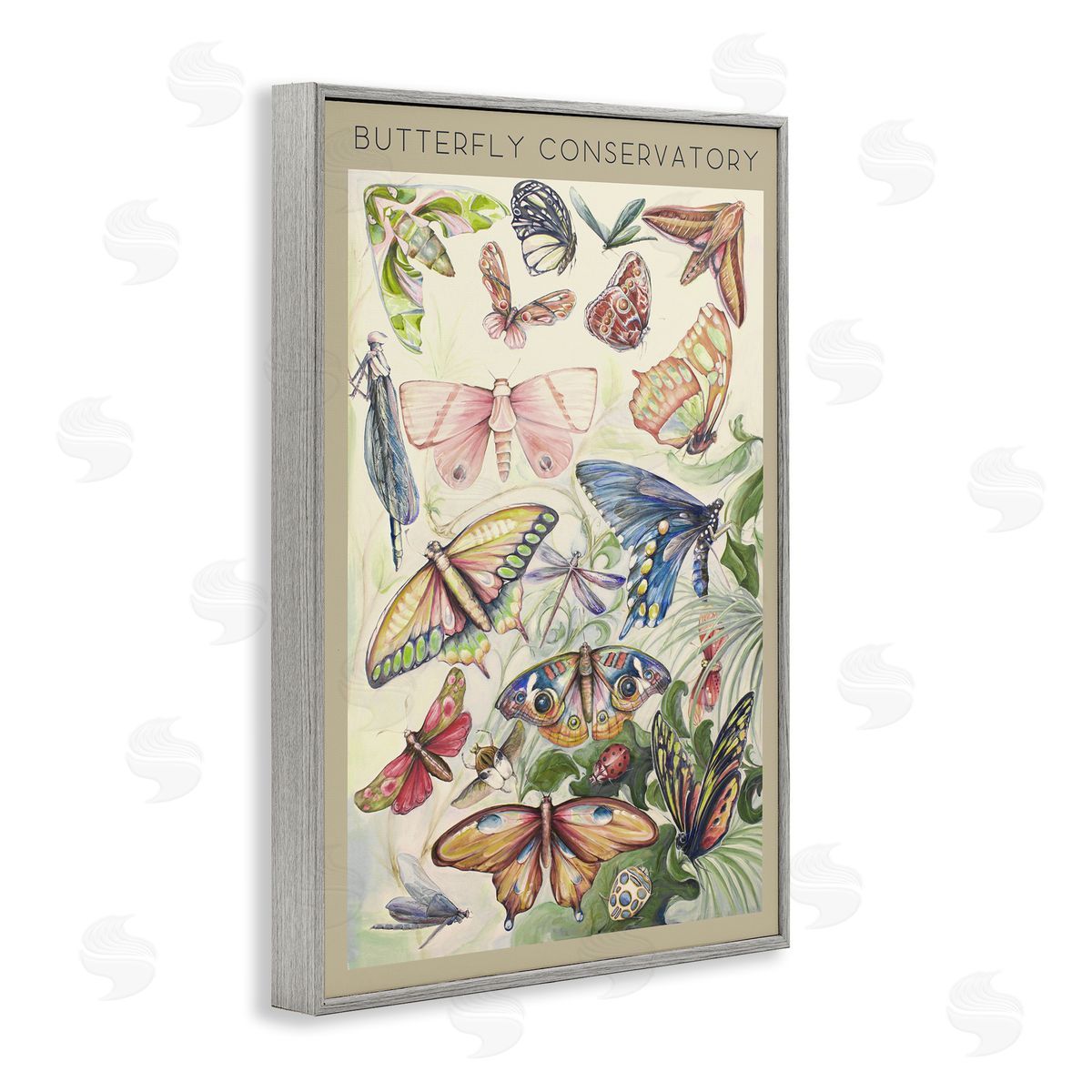 DIANNART Vintage Butterfly Conservatory Canvas Wall Art Print