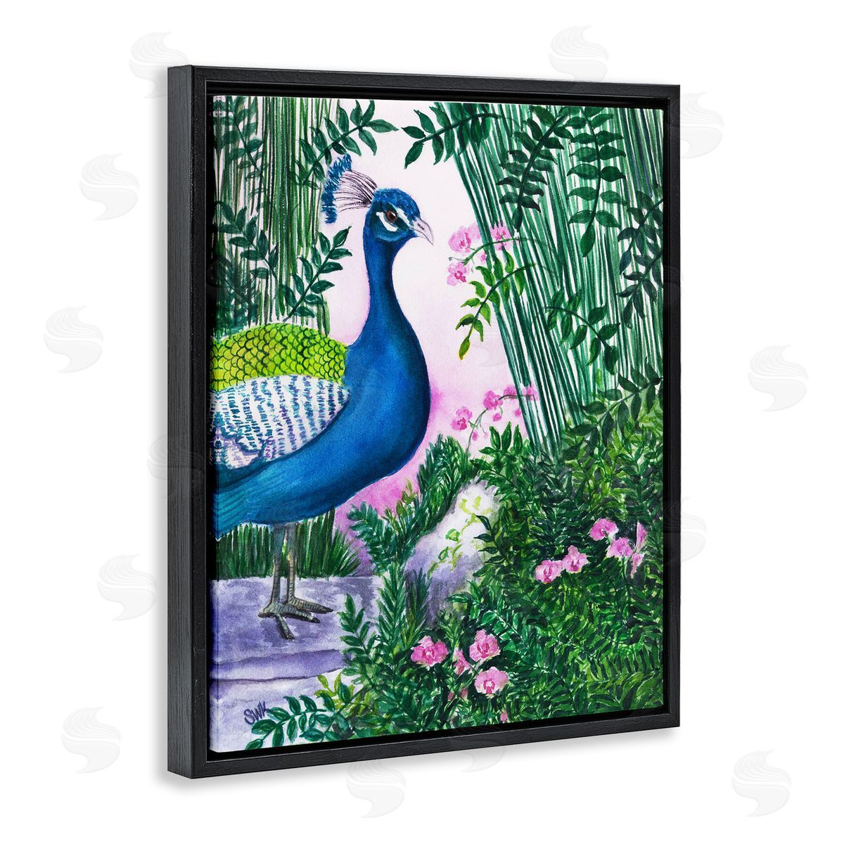 Sarah Waldron Kimball | Peacock in Pink
