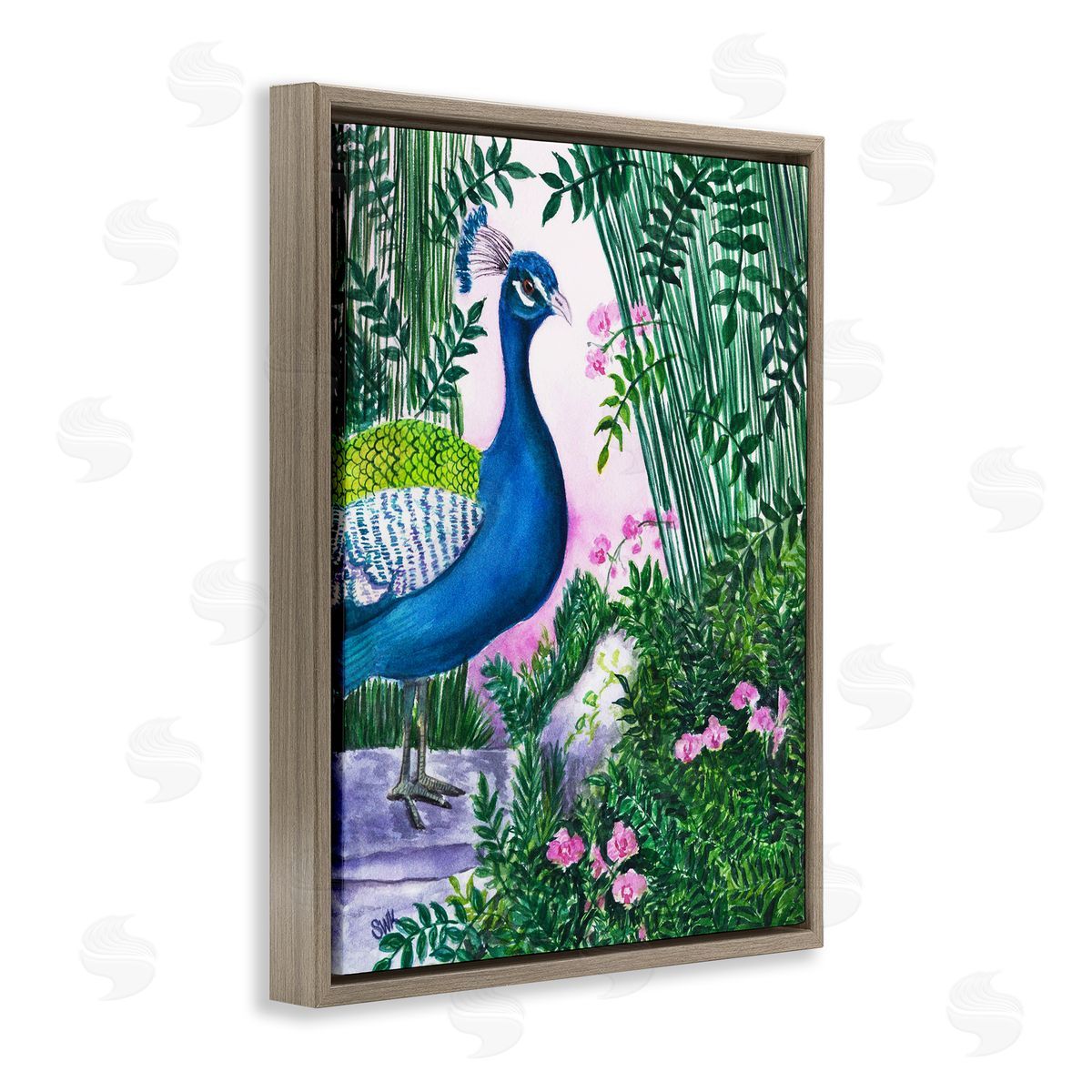 Sarah Waldron Kimball | Peacock in Pink