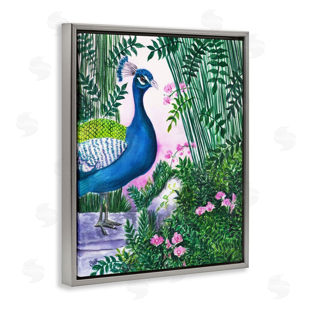 Sarah Waldron Kimball | Peacock in Pink