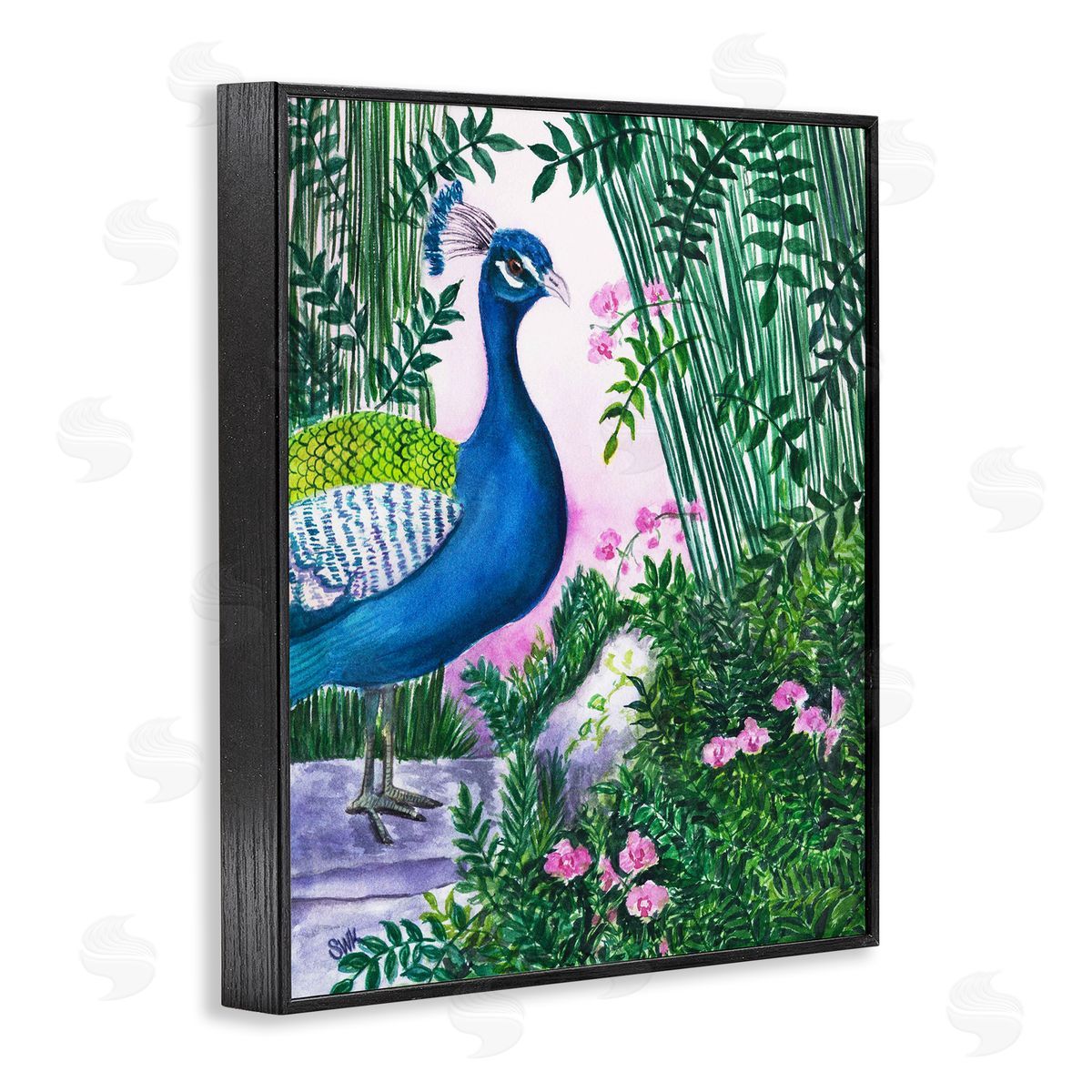 Sarah Waldron Kimball | Peacock in Pink
