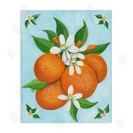 Sarah Waldron Kimball | Botanical Citrus Oranges