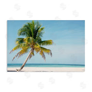 Danita Delimont | Barrier Reef Island Palm