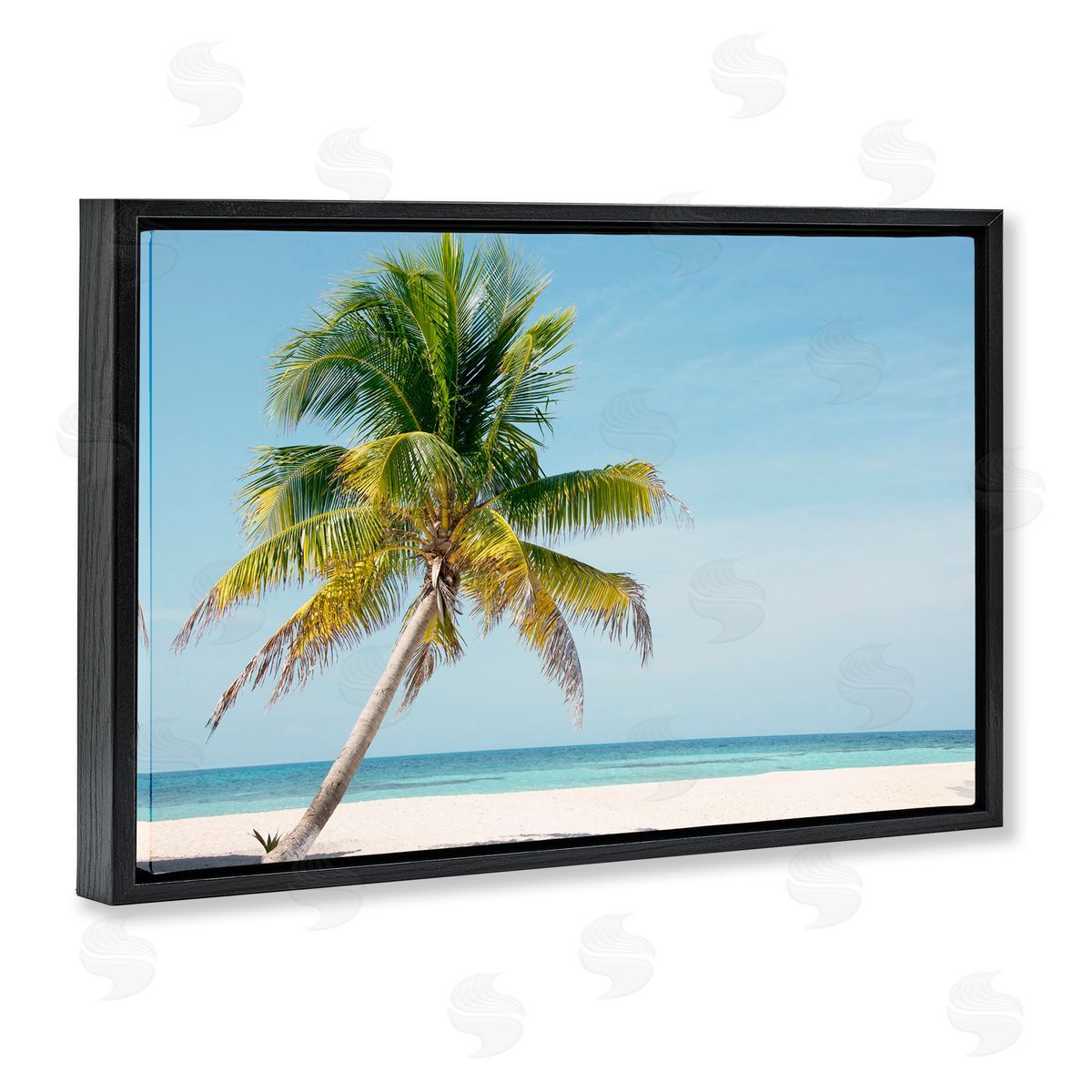Danita Delimont Barrier Reef Island Palm Canvas Wall Art Print