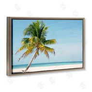 Danita Delimont | Barrier Reef Island Palm
