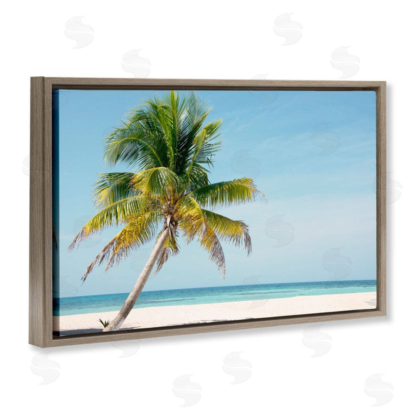 Danita Delimont | Barrier Reef Island Palm