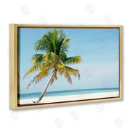 Danita Delimont | Barrier Reef Island Palm
