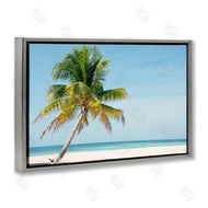 Danita Delimont | Barrier Reef Island Palm