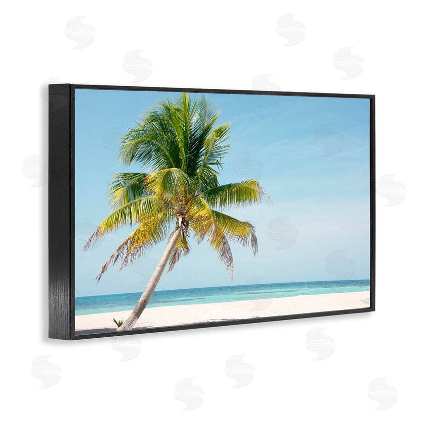 Danita Delimont | Barrier Reef Island Palm