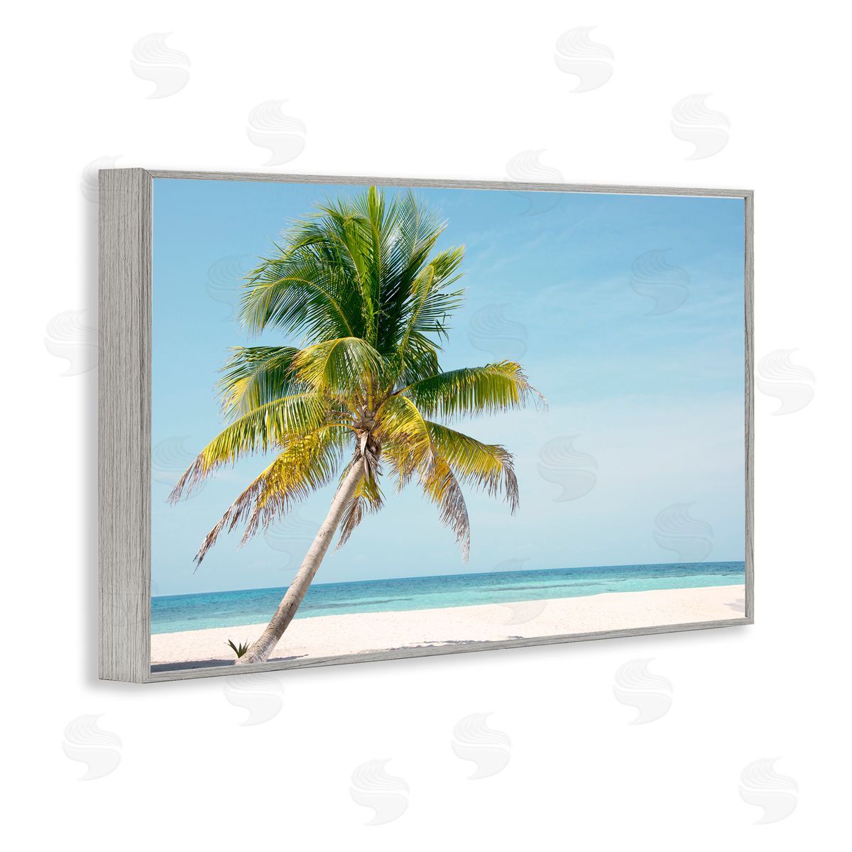 Danita Delimont Barrier Reef Island Palm Canvas Wall Art Print