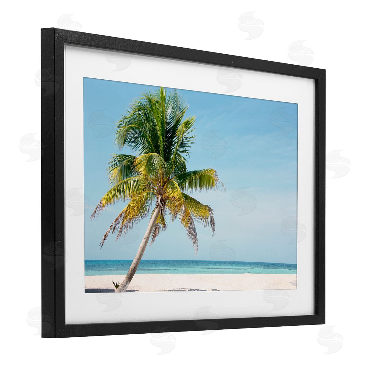 Danita Delimont Barrier Reef Island Palm Canvas Wall Art Print