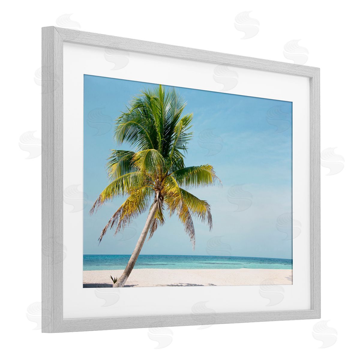 Danita Delimont Barrier Reef Island Palm Canvas Wall Art Print