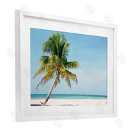 Danita Delimont | Barrier Reef Island Palm