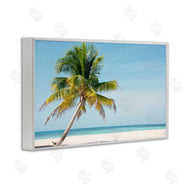 Danita Delimont | Barrier Reef Island Palm