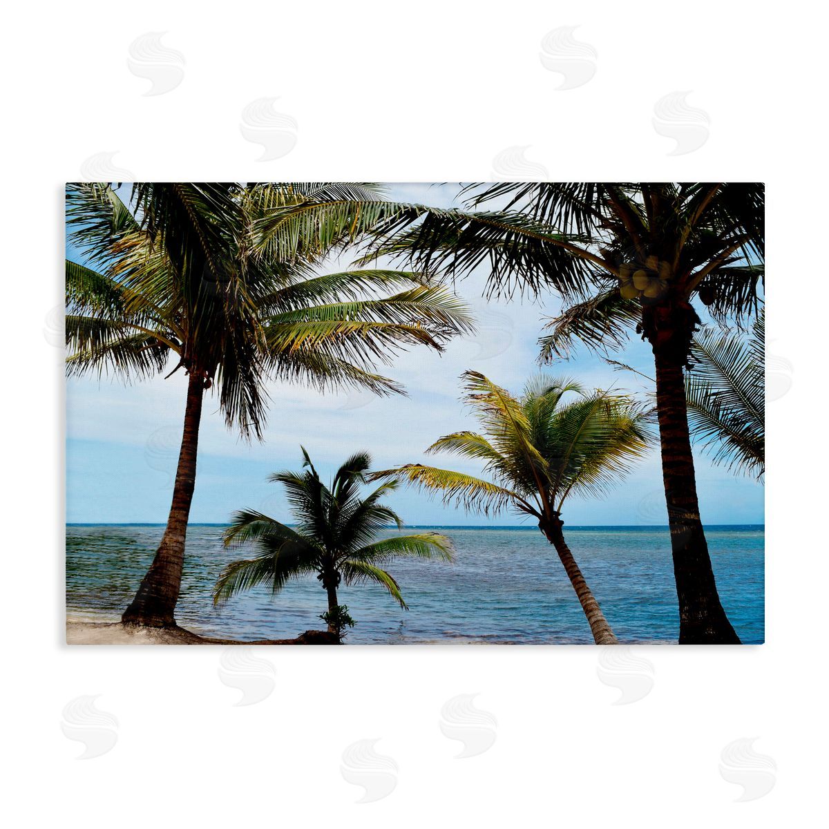 Natalie Carpentieri Honduras Daytime Palms Canvas Wall Art Print