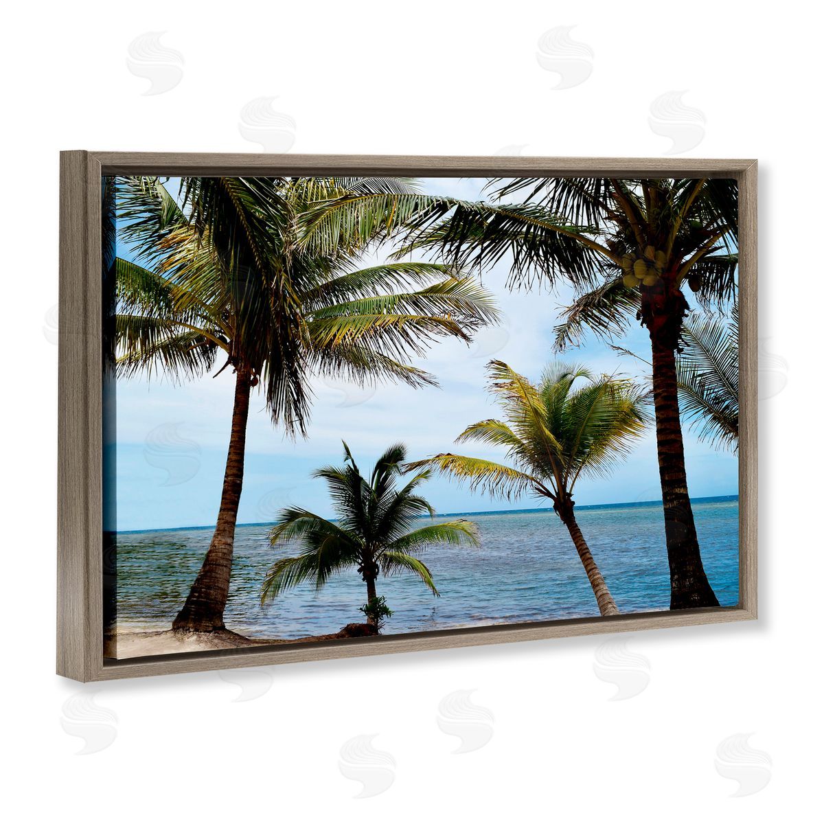 Natalie Carpentieri Honduras Daytime Palms Canvas Wall Art Print