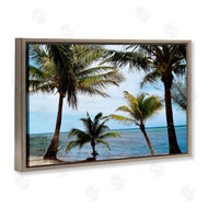 Natalie Carpentieri | Honduras Daytime Palms
