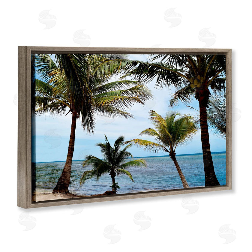 Natalie Carpentieri | Honduras Daytime Palms