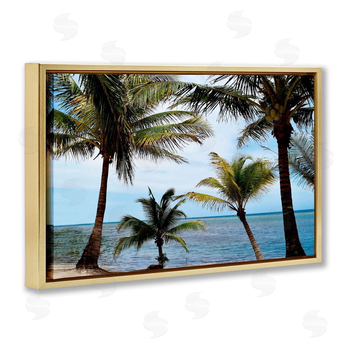 Natalie Carpentieri Honduras Daytime Palms Canvas Wall Art Print