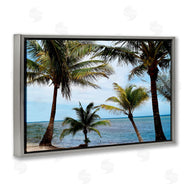 Natalie Carpentieri | Honduras Daytime Palms