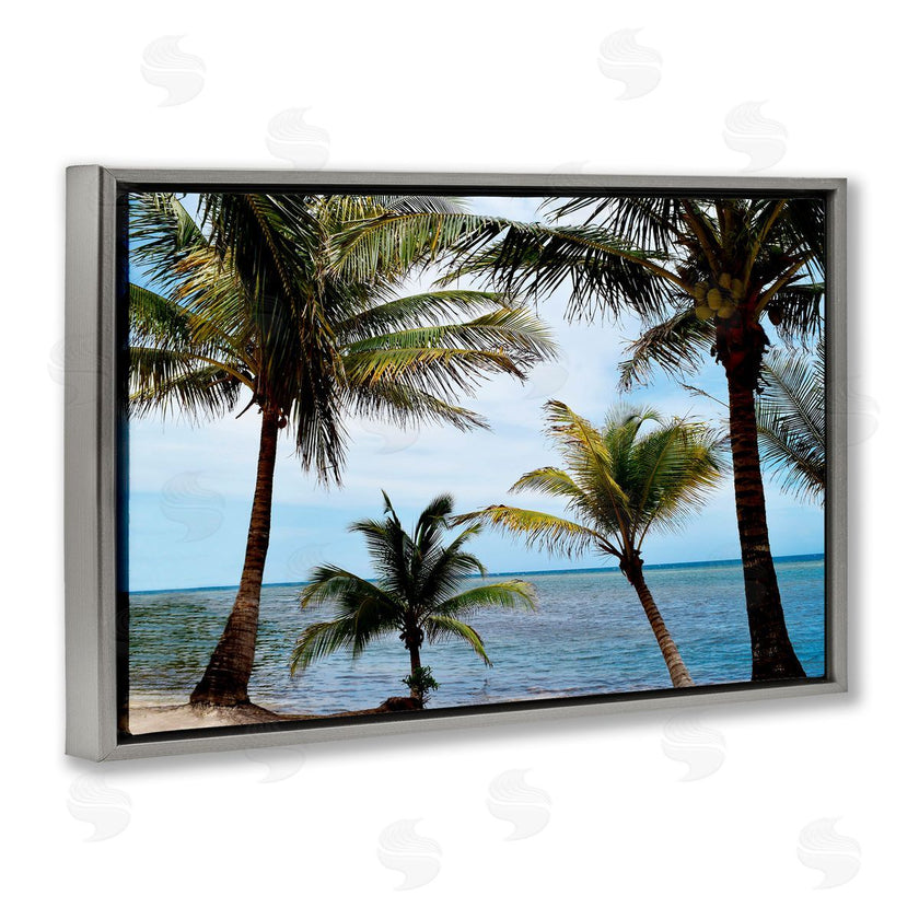 Natalie Carpentieri | Honduras Daytime Palms