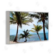 Natalie Carpentieri | Honduras Daytime Palms
