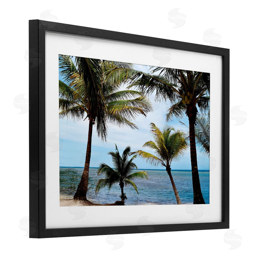 Natalie Carpentieri | Honduras Daytime Palms