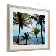 Natalie Carpentieri | Honduras Daytime Palms