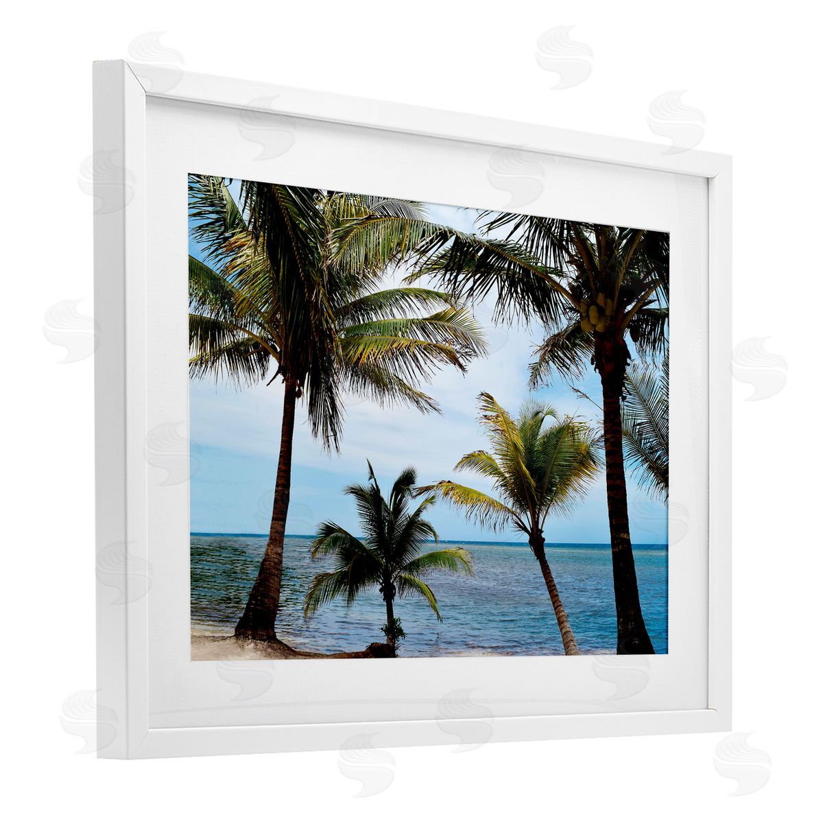 Natalie Carpentieri Honduras Daytime Palms Canvas Wall Art Print