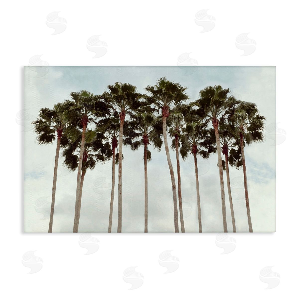 Natalie Carpentieri Surfs Up Beach Palms Canvas Wall Art Print
