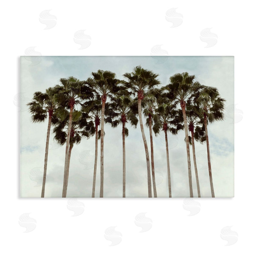 Natalie Carpentieri | Surfs Up Beach Palms