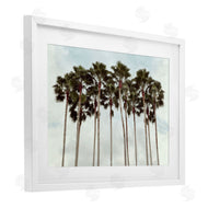 Natalie Carpentieri | Surfs Up Beach Palms