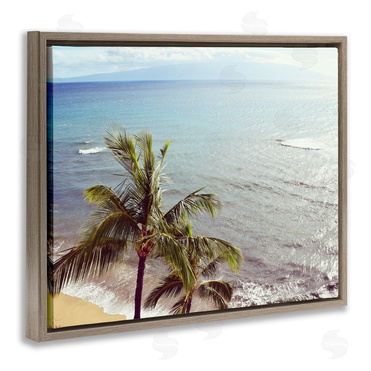 Natalie Carpentieri Happy Soul Palm Coast Canvas Wall Art Print