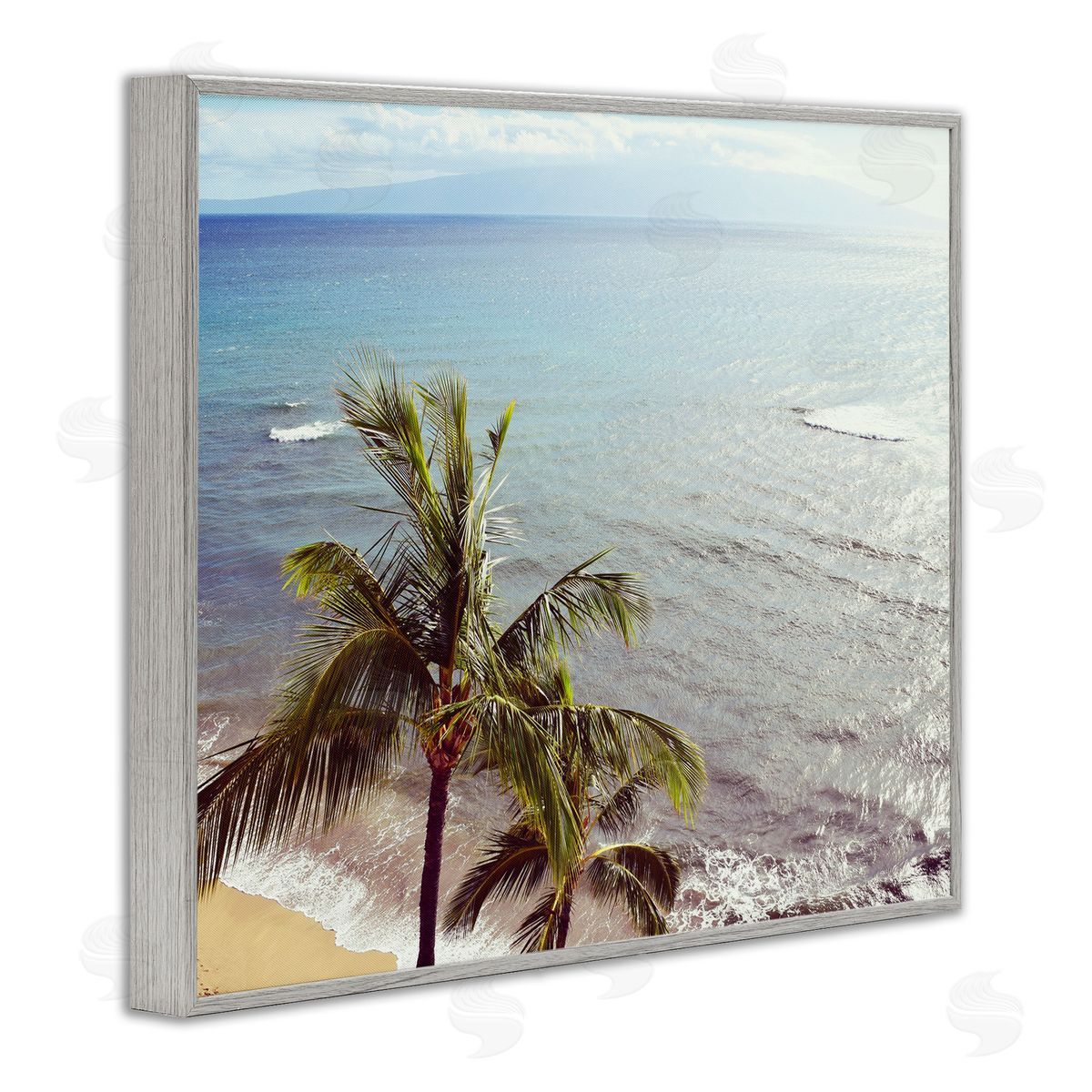 Natalie Carpentieri Happy Soul Palm Coast Canvas Wall Art Print