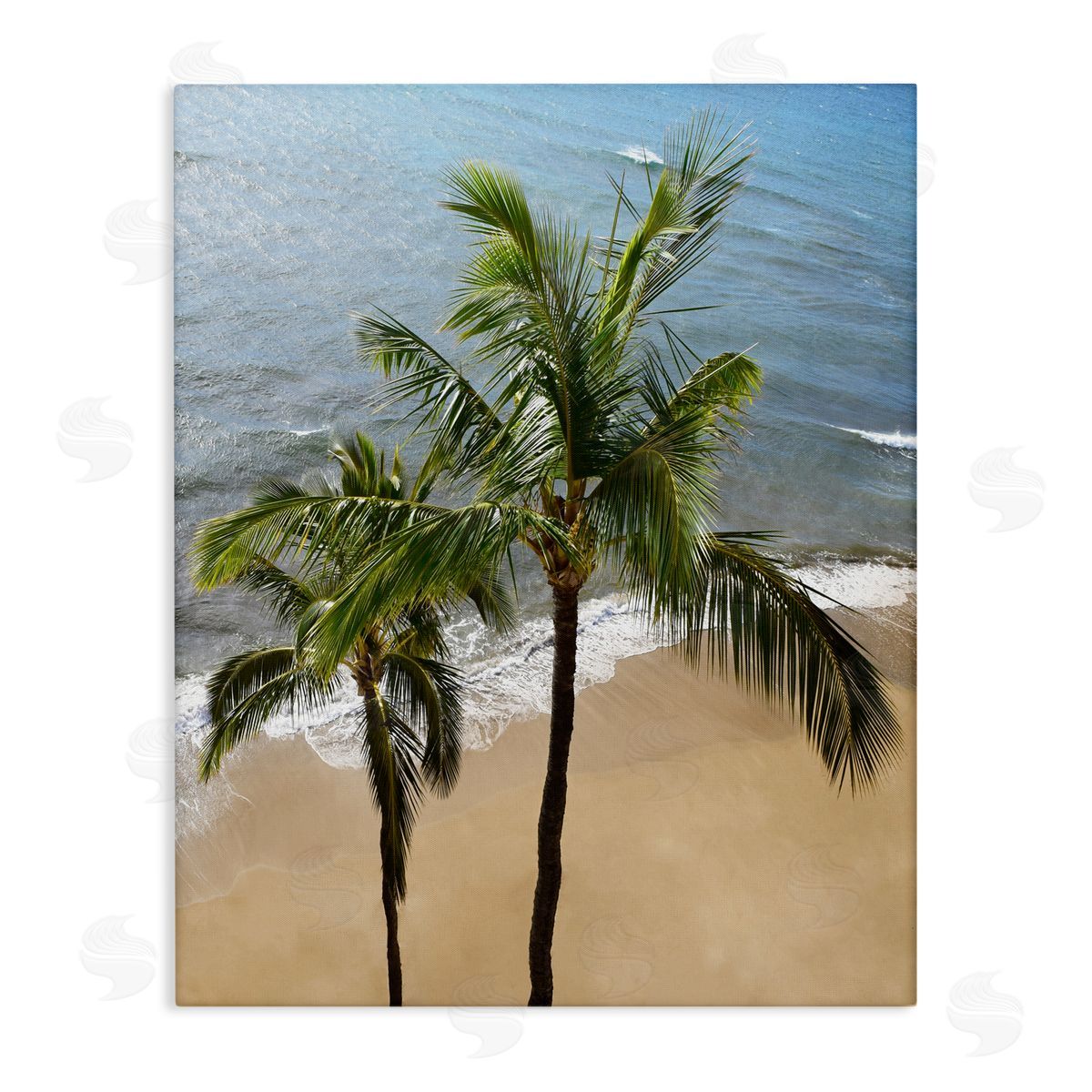 Natalie Carpentieri Maui Palm Beach Coast Canvas Wall Art Print