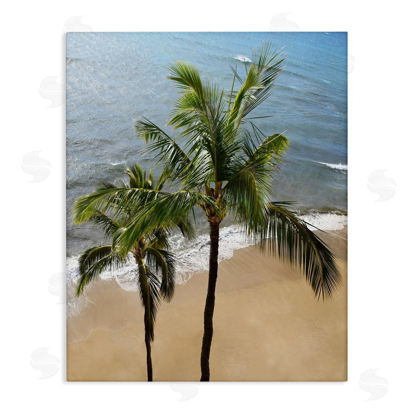 Natalie Carpentieri | Maui Palm Beach Coast