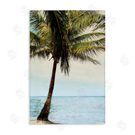 Natalie Carpentieri | Honduras Coast Palm Tree