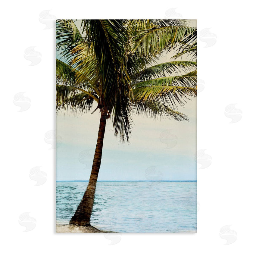 Natalie Carpentieri | Honduras Coast Palm Tree