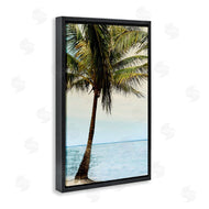 Natalie Carpentieri | Honduras Coast Palm Tree