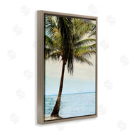 Natalie Carpentieri | Honduras Coast Palm Tree