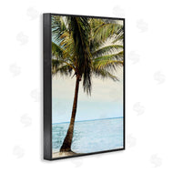 Natalie Carpentieri | Honduras Coast Palm Tree