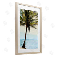 Natalie Carpentieri | Honduras Coast Palm Tree