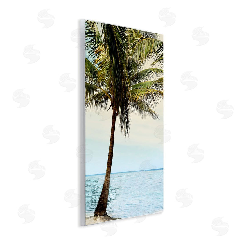 Natalie Carpentieri | Honduras Coast Palm Tree