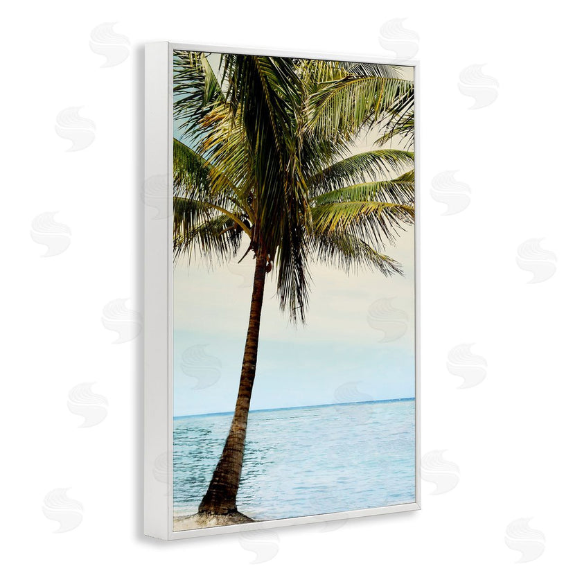 Natalie Carpentieri | Honduras Coast Palm Tree