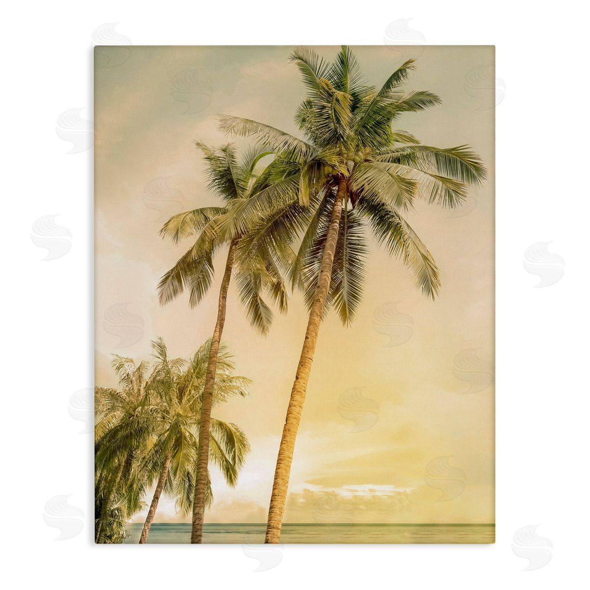 Mike Calascibetta Sunrise Palm Trees Canvas Wall Art Print